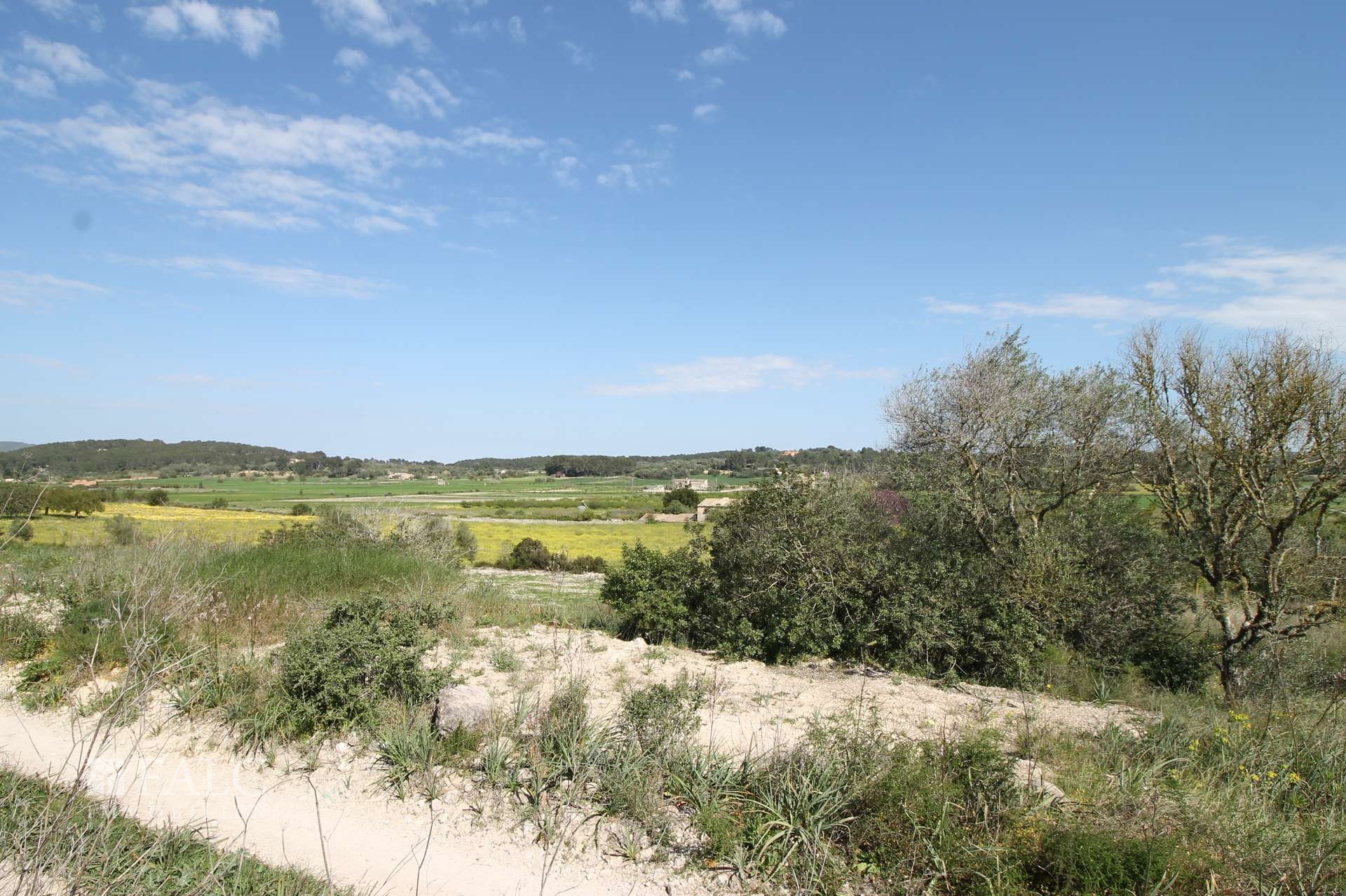 Baugrundstueck Porreres mit Weinberg 
